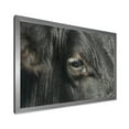 thumbnail image 2 of Designart 'Close-Up Of Cow Eye' Farmhouse Framed Art Print, 2 of 4