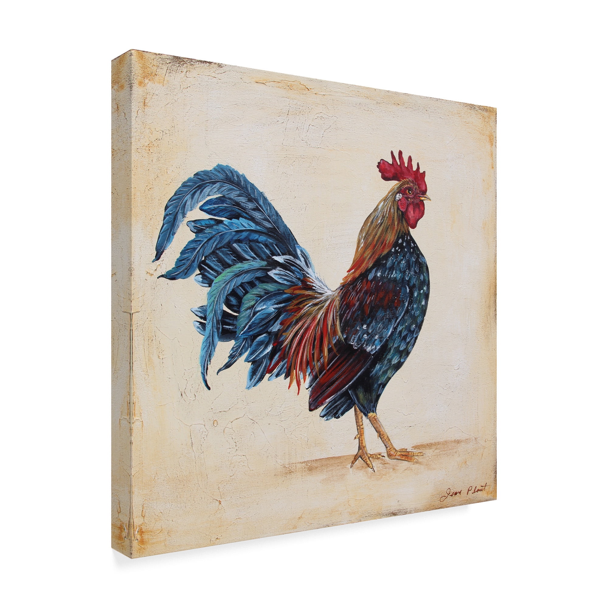 Trademark Fine Art 'Rooster 2' Canvas Art by Jean Plout