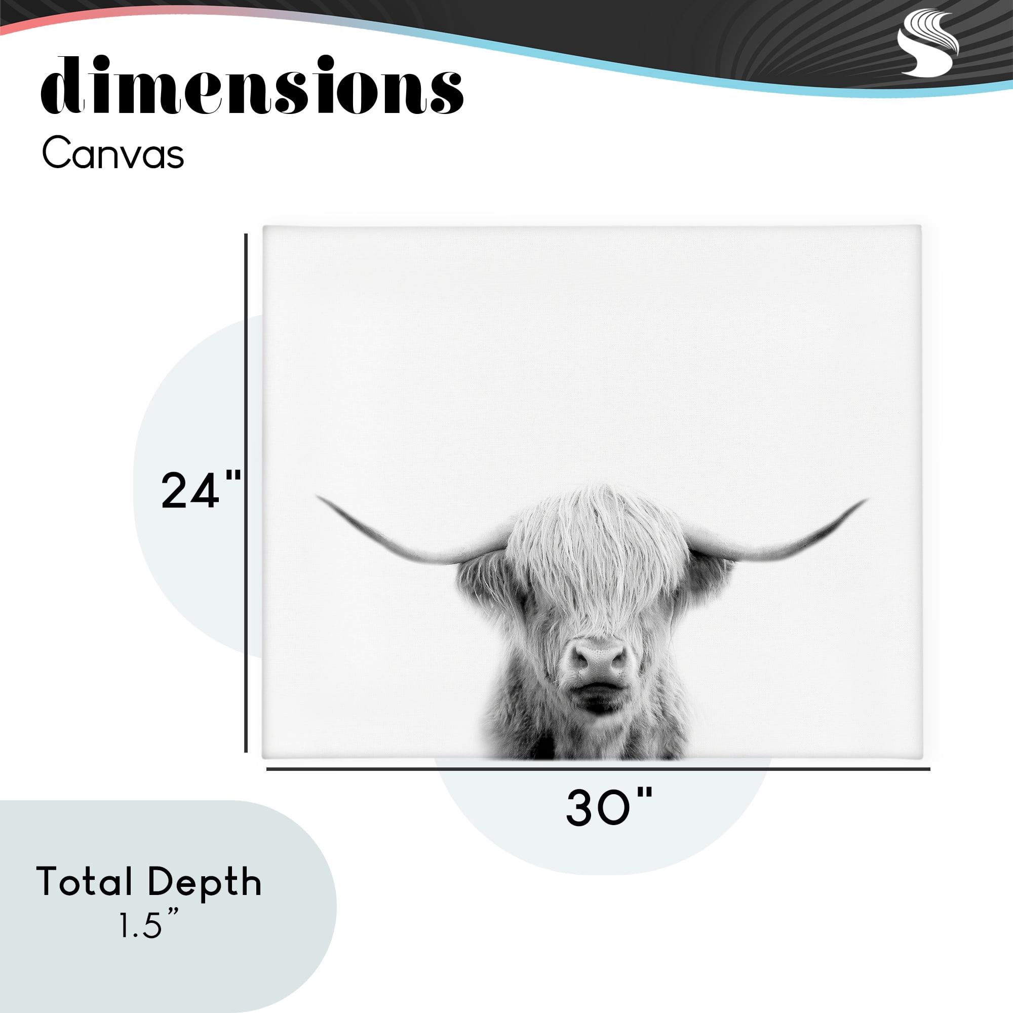 Stupell Industries Scottish Cow Portrait Canvas Wall Art, design by Leah Straatsma