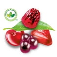 thumbnail image 2 of REALFRUIT Gummies Medley Candy, Dare Real Fruit, 1KG, 2 of 9