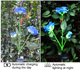 thumbnail image 3 of Fiudx Luces Solares para Jardín, 6 Rosas Artificiales Iluminadas, Flores de Eva Realistas, Energía Solar, Diseño Impermeable, Ideal para Jardín, Patio, Cementerio, Regalo Del Día de La Madre, 82 Cm d, 3 of 7