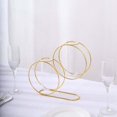 thumbnail image 5 of Efavormart 2 Pack 10" Gold Metal Geometric Test Tube Flower Vase, Nordic Style Double Ring Glass Floating Vase Centerpiece, 5 of 5