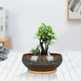 thumbnail image 3 of Bonsai Pot 8 inch Ceramic Shallow Round Planter with Drainage & Saucer, Flower Pots for Succulents & Indoor Plants Home Office Decor Brown, 3 of 7