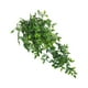 thumbnail image 2 of Plantas colgantes Naiovety artificiales en maceta verdes, 2 of 6