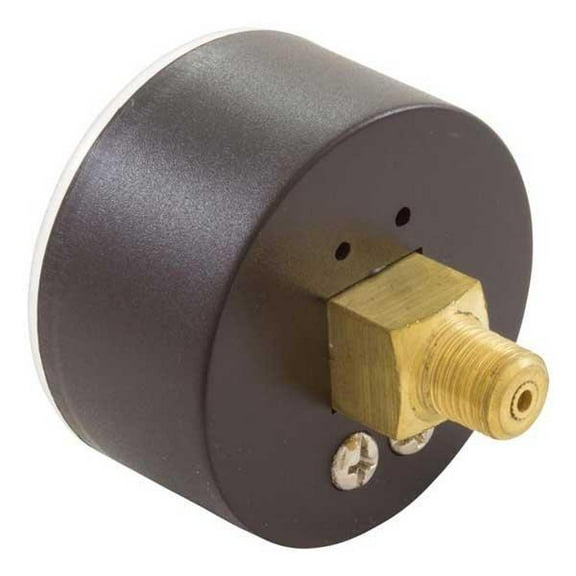 Hayward Gauge, Vacuum 1/8in. Rear/Back Connection NPT 0-30 HG 2in. Face OEM AXV096GR