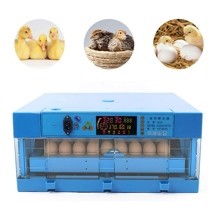 MRM Poultry Online Shop Cages & Accessories - Egg scale Yamato