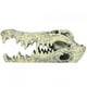 thumbnail image 2 of Decoración Artificial ANGGREK adorno de Calavera para Pecera de resina, 2 of 8