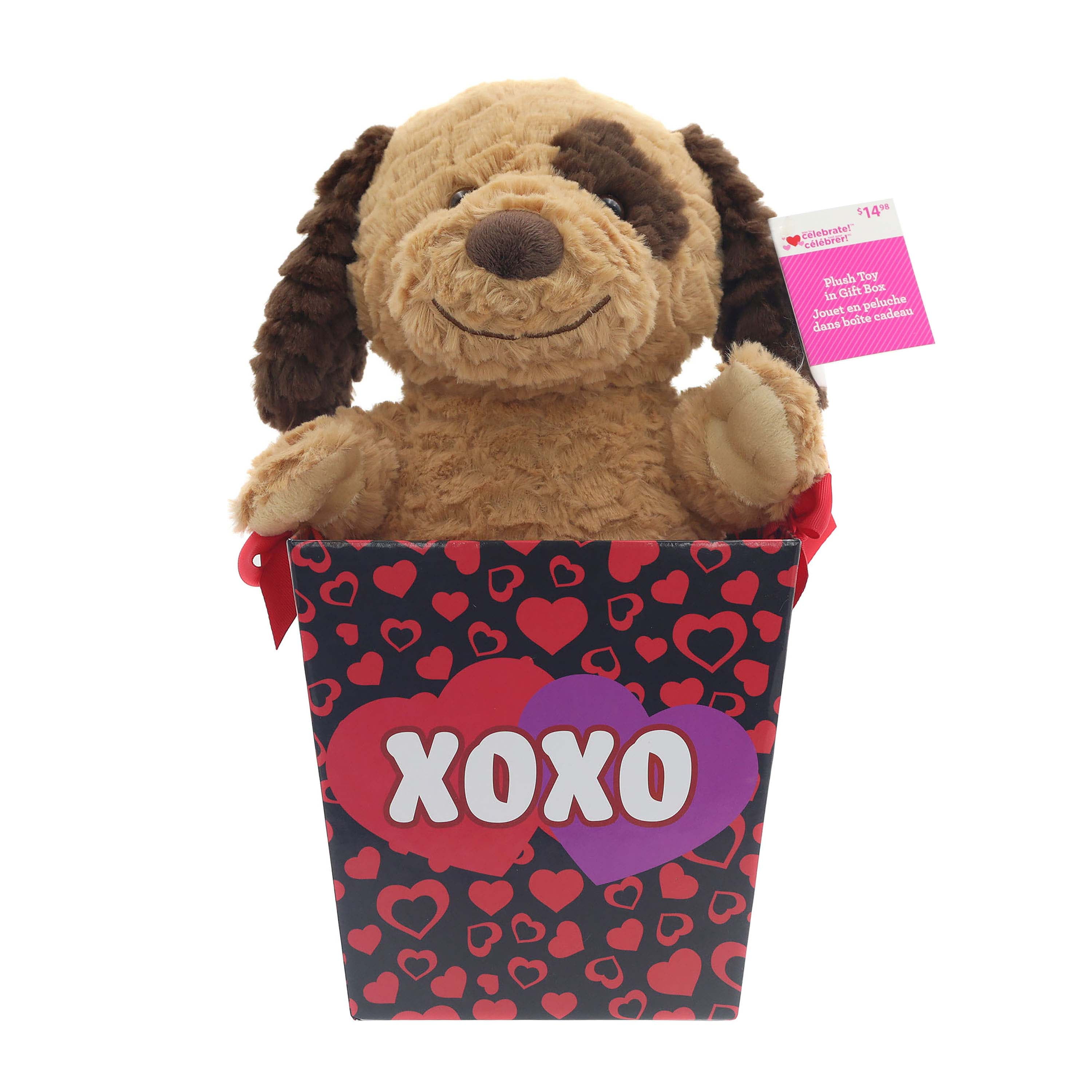 Brown Puppy Plush in a Gift Bucket for Valentine's Day by Way to Celebrate
