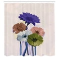 thumbnail image 2 of Ambesonne Gerber Daisy Shower Curtain, Spring Print Flowers, 69"Wx84"L, Pale Caramel, 2 of 4