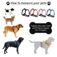 thumbnail image 2 of Jespet Padded Front Dog Harness, 2 of 7