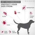 thumbnail image 4 of K9 Advantix II Flea and Tick Treatment for Extra Large Dogs (6 doses), 4 of 7