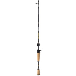 Berkley Lightning Rod Trout, 8' Ultra Light Fishing Rod, 2 Piece -  Walmart.com