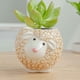 thumbnail image 1 of onlyliua para Interior/Exterior Maceta de Cerámica con Forma de Búho para Plantas Suculentas, Cactus, Bonsái, 1 of 7