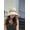 Beige, variant on CoCopeanut Baru Topi Wanita Musim Semi Musim Panas Kerai Topi Permen Warna Datar Keranjang Kepala Luar Ruangan Ember Sun Wisata cap