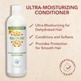 thumbnail image 3 of Creme Of Nature Mango And Shea Butter Ultra Moisturizing Hair Conditioner, 12 Oz, 3 of 6