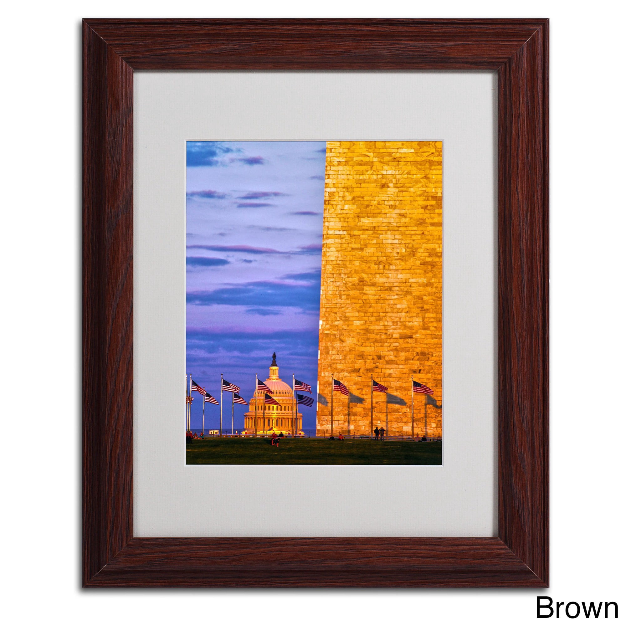 Trademark Fine Art "America" Canvas Art by CATeyes, Wood Frame