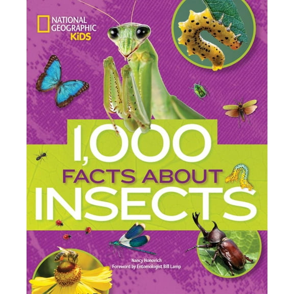 Nancy Honovich: 1,000 Facts about Insects (Hardcover)