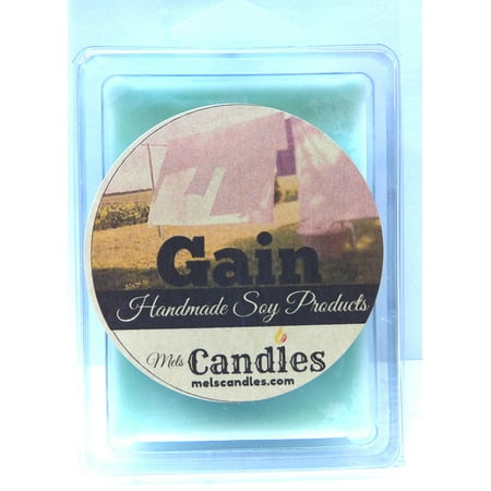 Gain TYPE (Version of Orginal Gain) 3.2 Ounce Pack of Soy Wax Tarts (6 Cubes Per Pack) - Scent