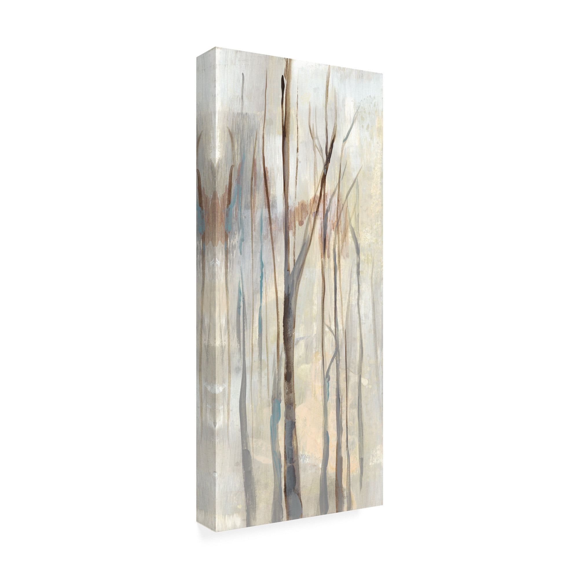 Trademark Fine Art 'Wispy Birches I' Canvas Art by Jennifer Goldberger