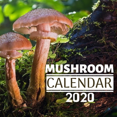 Mushroom Calendar 2020 : 12 Month Mini Wall Or Desk Calendar For Office