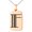 Rose, variant on Stainless Steel Letter F Initial Metro Retro Monogram Engraved Small Rectangle Dog Tag Charm Pendant Necklace