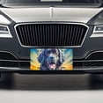 thumbnail image 3 of Newfoundland Dog Pop Art Metal Novelty License Plate, 3 of 7