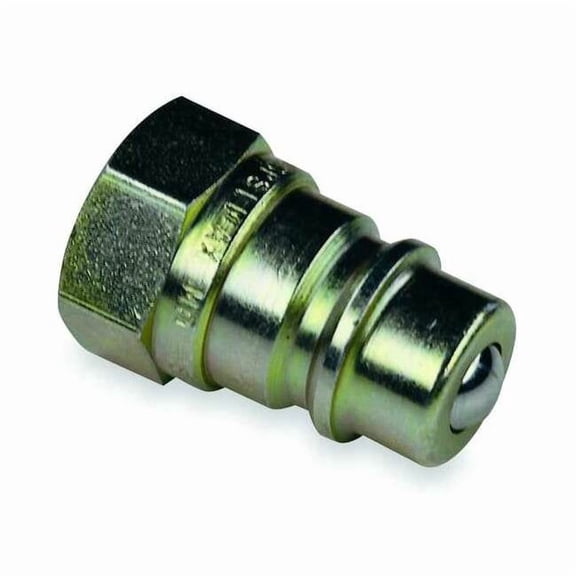 Safeway Hydraulics S41-2