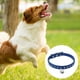thumbnail image 3 of Gamuza elegante, deslumbrante, brillante y elegante, 3 filas de gemas de cristal brillantes para perros y gatos, 3 of 5