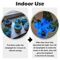 thumbnail image 2 of NAMTSO Piedras solares azules que brillan en la oscuridad para exteriores, 500 piezas, 2 of 8