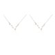 thumbnail image 3 of Collar de constelaciones Minnieouse 2piezas Libra Oro Piscis Plata, 3 of 6