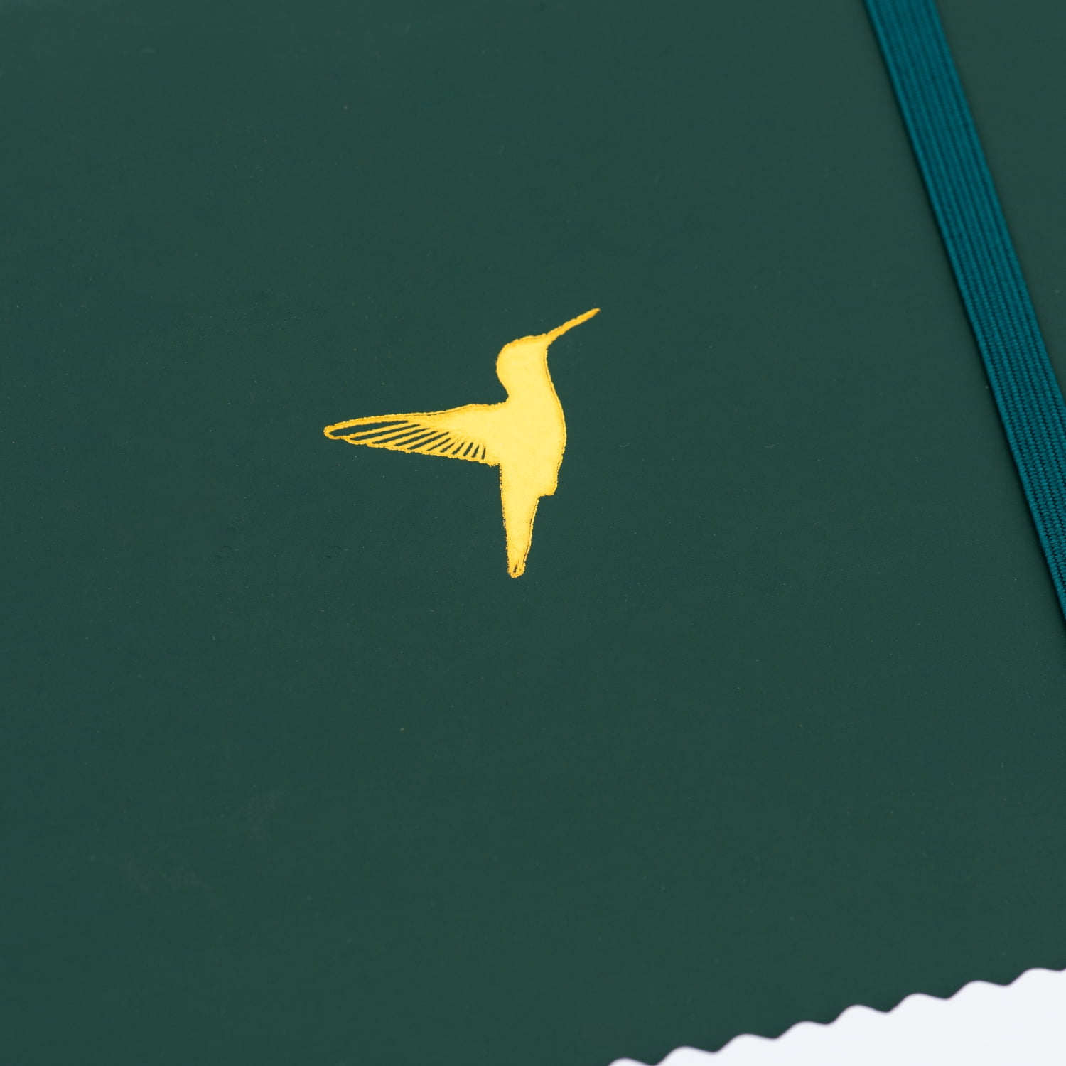 Yop & Tom - Bullet Dot Grid Journal Extra Thick Paper 160 GSM - Hardback A5 - Forest Green Humingbird