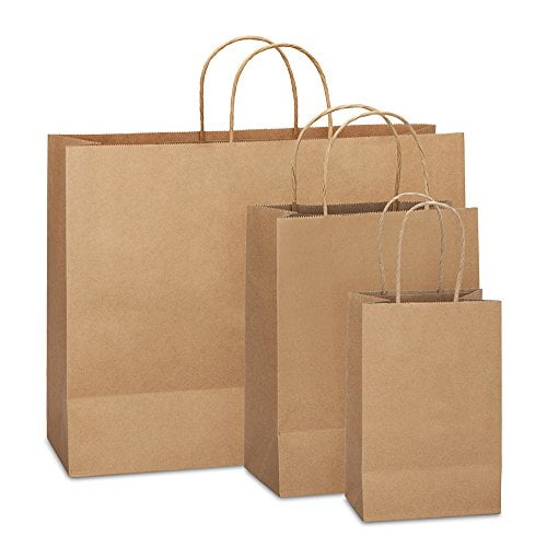 Solid Colored Matte Gift Bags with Tag 9-1//2-Inch
