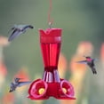 thumbnail image 2 of Alimentador para Colibrí Perky-Pet 403CP de Plástico 240 ml Rojo, 2 of 8