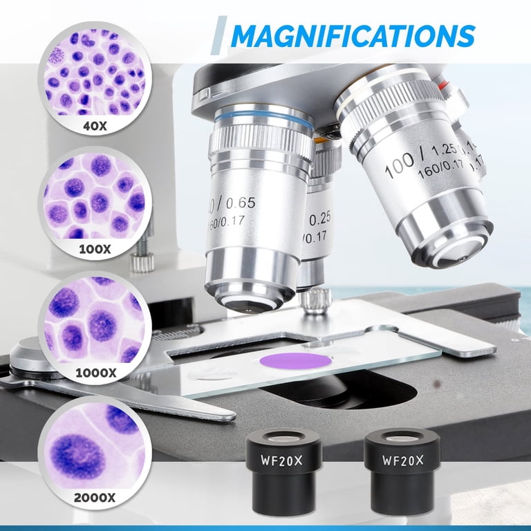 40X To 2000X Microscope Binocular Compound Microscope 40X-2000X With 30 ...