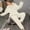 Beige, variant on Uqiangy Plus Size Pjs for Women 3x 2 Piece Sets for Women Long Sleeve Pajamas Travel Outfits for Women Two Piece Fall Set Long Sleeve Pajamas for Women Beige L