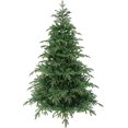 thumbnail image 1 of Le Grand Sapin de Noël Fraser Fir (7 Pi Non Éclairé), 1 of 4