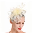 thumbnail image 1 of Sonducket Tocado de boda con flores para el pelo, adorno para el pelo de fiesta con ahorro de espacio Vintage fino y exquisito, Clip de malla Ropa, zapatos y accesorios Miscelánea Beige, 1 of 6