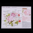 thumbnail image 4 of Abbracc Ribbon Embroidery Diy Flower Painting Stamped Cross Stitch Colorful Life 02, 4 of 6