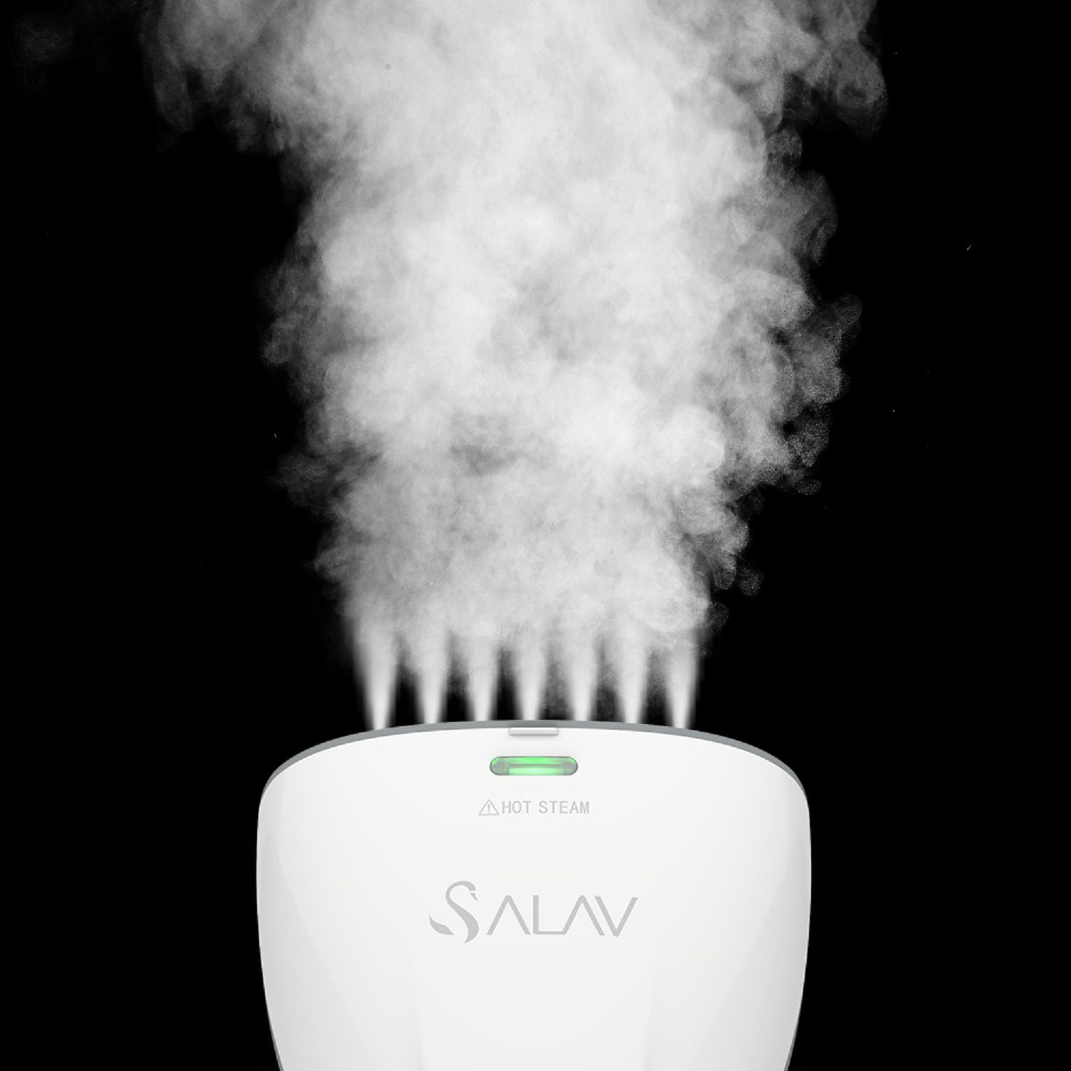 SALAV 1000-Watt QuickSteam Hand Held Steamer, HS-04/T