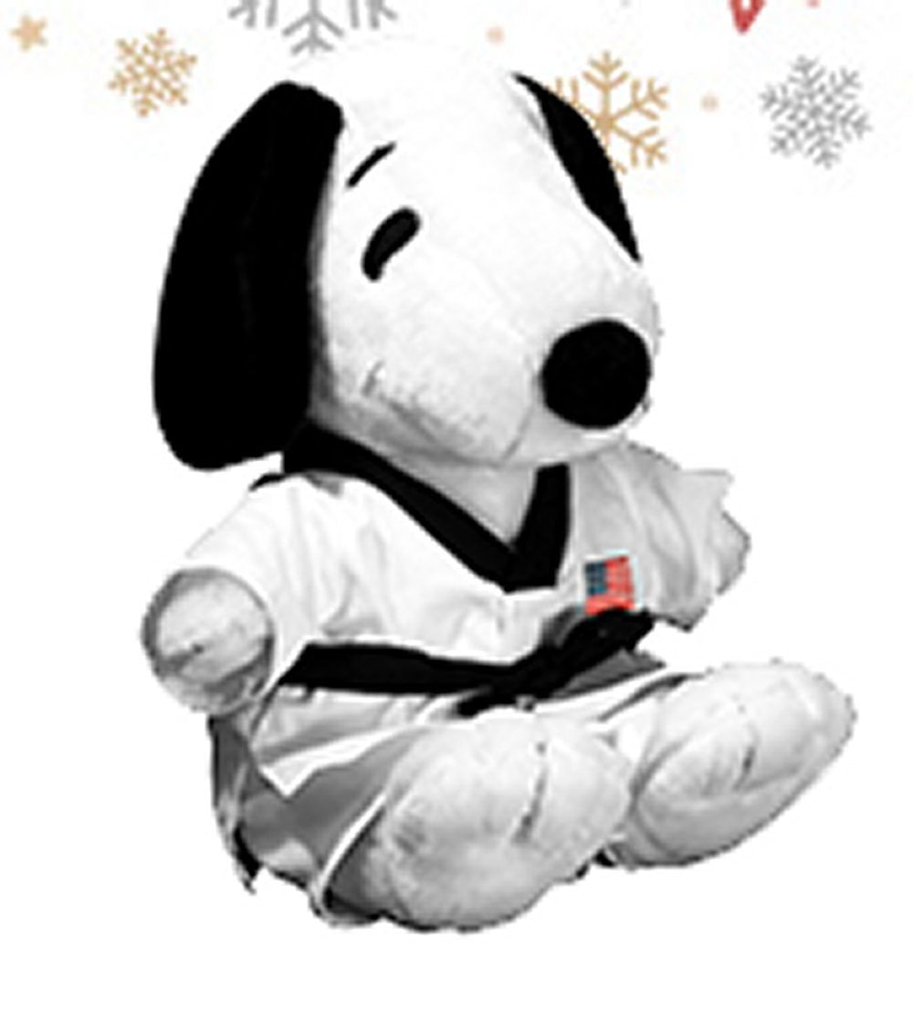 taekwondo doll