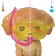 thumbnail image 3 of Barbie Dream Squad Pet Puppy and Pool with Color-Changing Accessories, 3 of 5