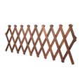 thumbnail image 1 of Retractable Garden Trellis Fence,Expandable Plant Climbing Lattices Plant Expandable Fence Pine Fence Plant Support Revolutionary Design, 1 of 12