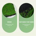 thumbnail image 2 of Miangastore Artificial Moss Lichen Simulation Fake Green Plants for Patio Decoration ( ), 2 of 8