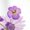 White-1, variant on Giffimy Women's Purple Wildflower Pattern Graphic Short Sleeve T-Shirt Casual Cotton Crewneck Top