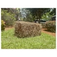 thumbnail image 5 of Premium Square Pine Straw Bale: Easy to Spread & Handle | Good Quality Long Needles | 65-70 Sq. Ft. Coverage | Ideal for Gardening, Landscaping, & Decoration, 5 of 5