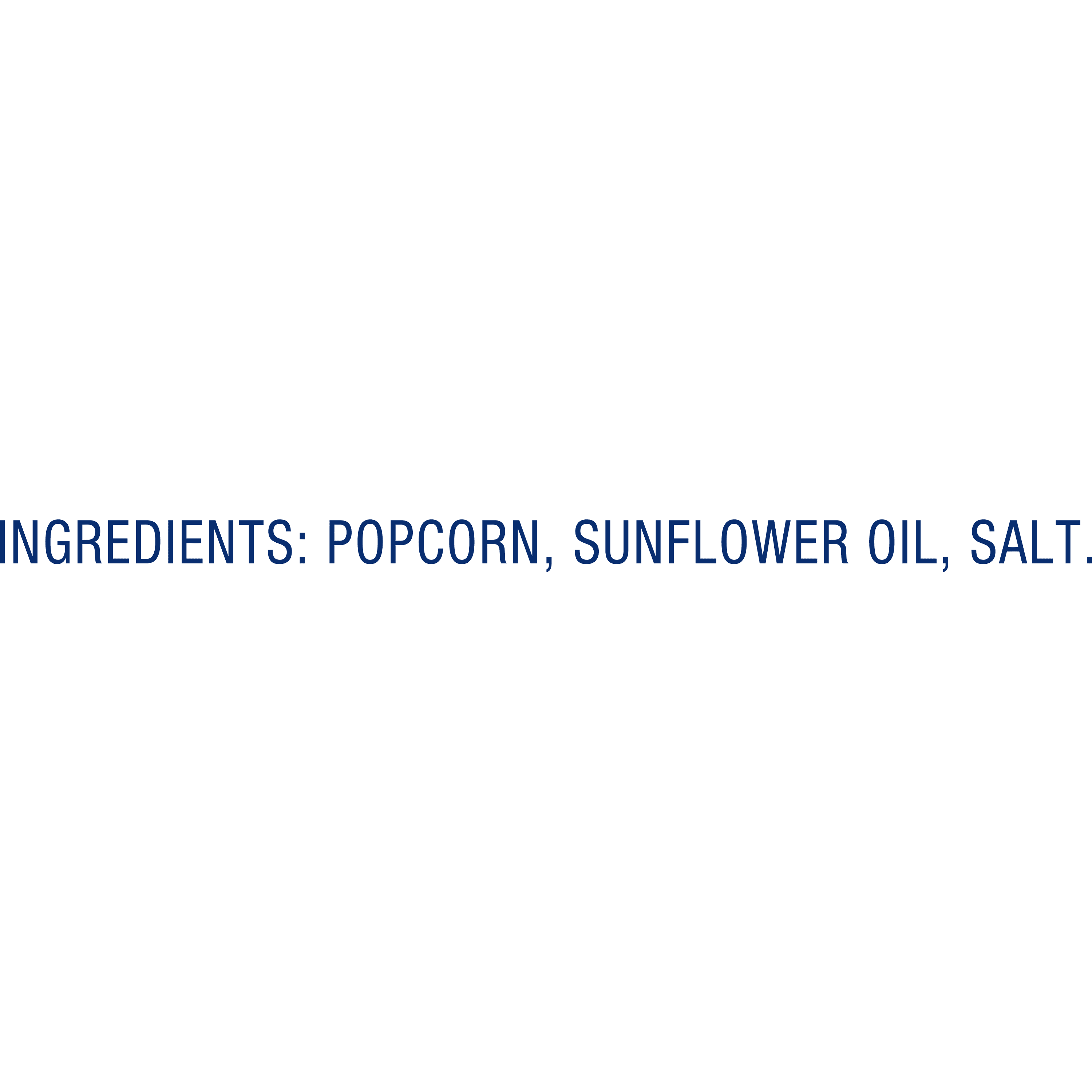 (4 pack) SkinnyPop Gluten-Free Original Popcorn, 0.5 oz Snack-Size Bags, 10 Count