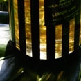 thumbnail image 2 of Perfume MANCERA Lemon Line Eau de Parfum 120 ml para mujer, 2 of 3