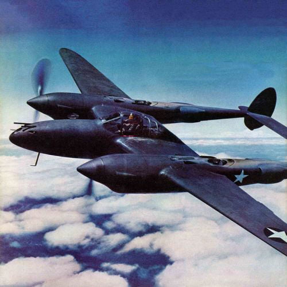 "Black Plane" Painting Print on Wrapped Canvas
