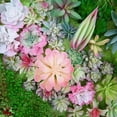 thumbnail image 3 of 12 Uds flocado Serie Blanca cabezas de flores suculentas suministros creativos DIY flores de plástico plantas verdes artificiales, 3 of 5