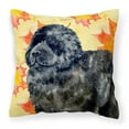 thumbnail image 1 of Carolines Treasures BB9932PW1818 Newfoundland Fall Fabric Decorative Pillow, 1 of 2